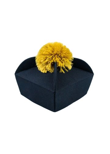 4 Wing Biretta (Black/Gold)