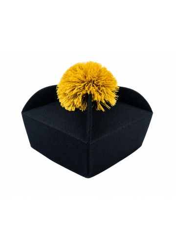 3 Wing Biretta (Black/Gold)