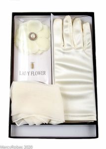 Womens Gloves, Hankie & Lapel Pin (Beige)